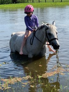 calmimg lavender helps Whimsy enjoy her swim
