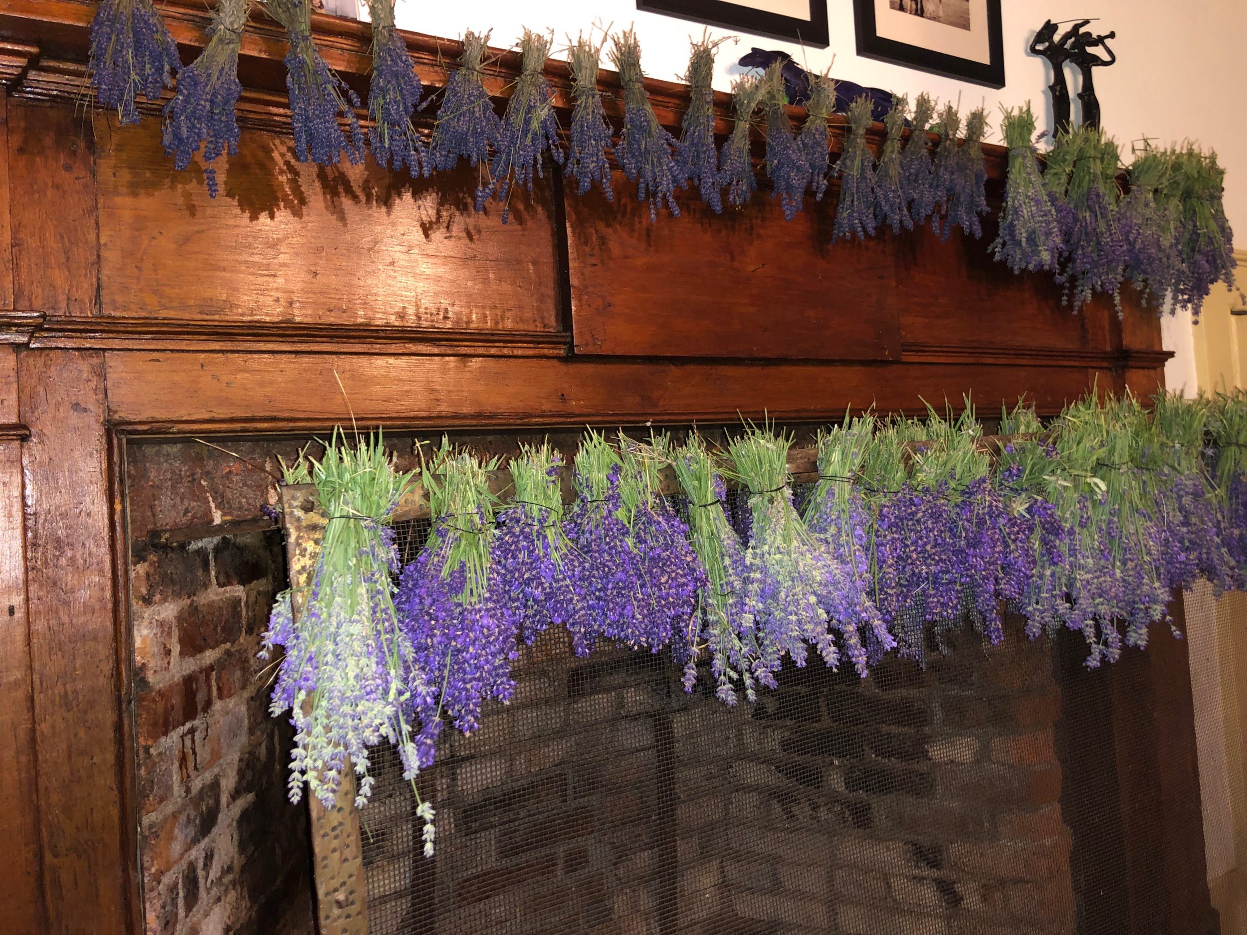 horsescents lavender